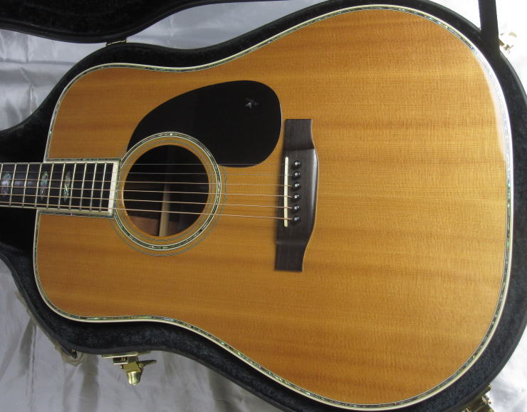 ���Á@K,YAIRI�A�R�[�X�e�B�b�N�M�^�[�@YW-1000 �F�y�퉮�̃T�J�C